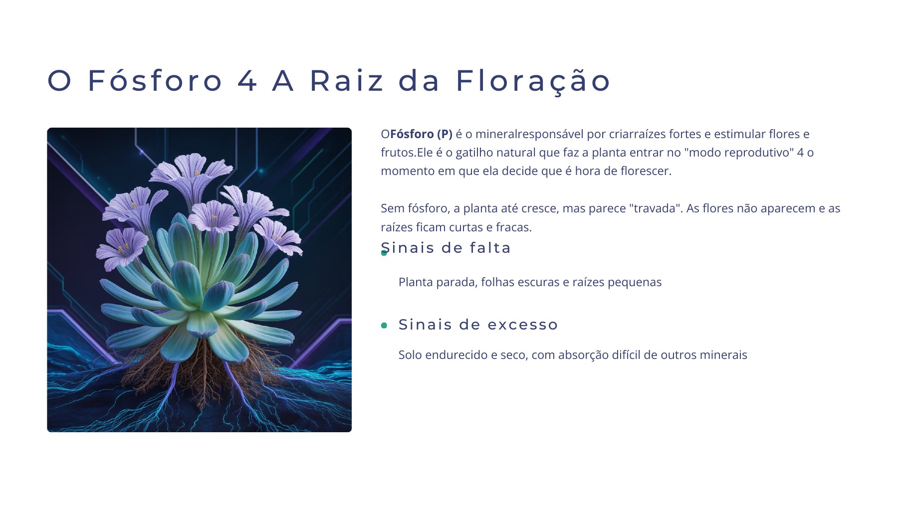 Método NPK Natural — página 5